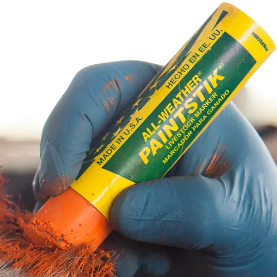 HC Paintstik Livestock Marker — Hayvan Markalama Kalemi