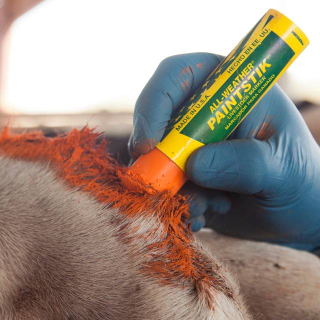 Paintstik Livestock Marker