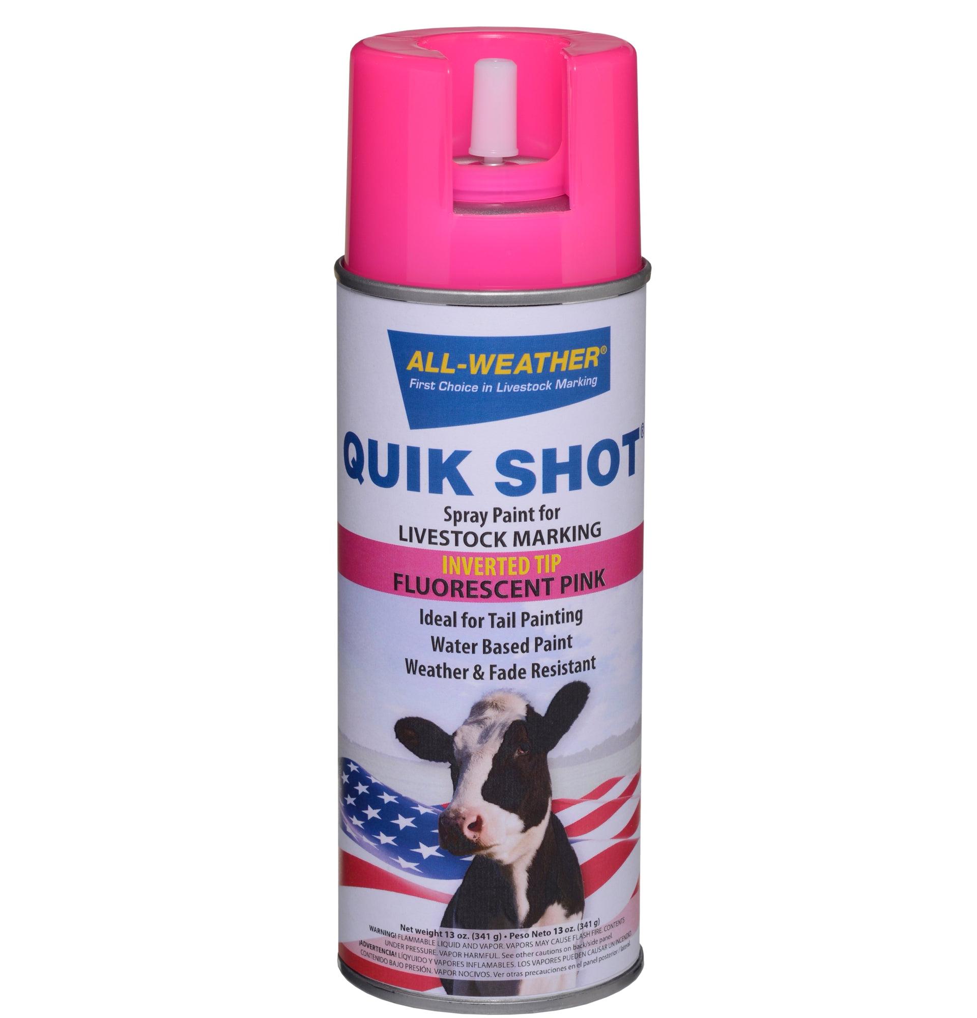 Quik Shot Tail Paint (Aerosol) (Floresan Pembe)