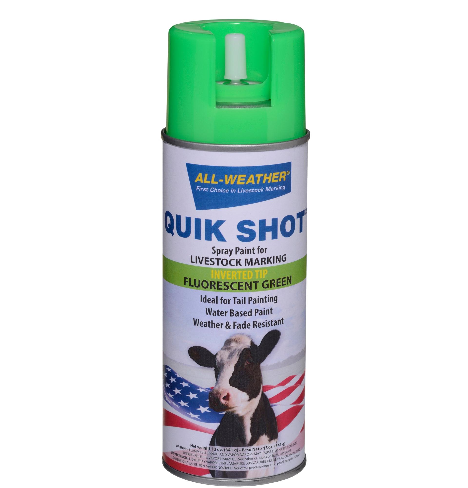 Quik Shot Tail Paint (Aerosol) (Floresan Yeşil)
