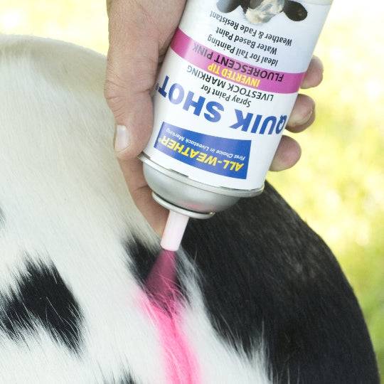 Quik Shot Tail Paint (Aerosol)